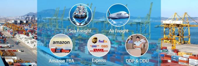 Servicio de la logística del promotor del flete aéreo de China a Noruega